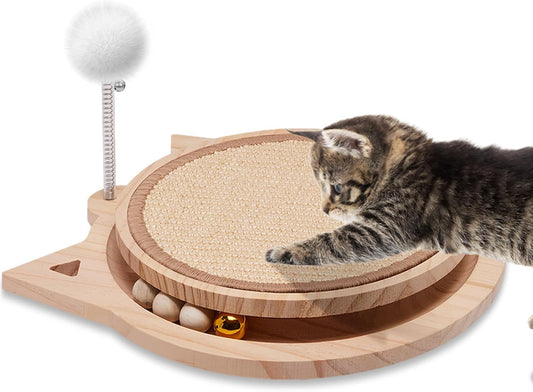 Interactive Cat Fun Zone