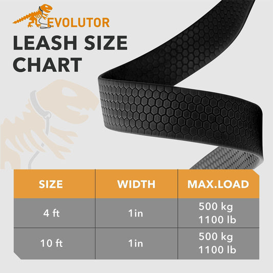 Heavy-Duty Dog Leash